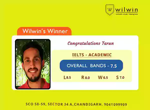  Consult Study Immigrate