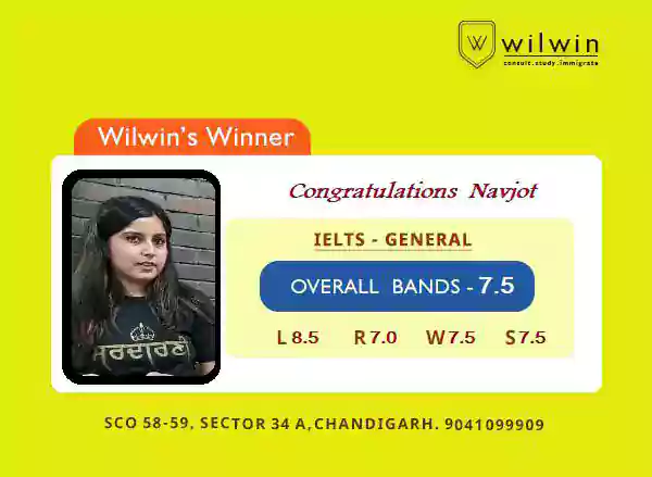  Consult Study Immigrate